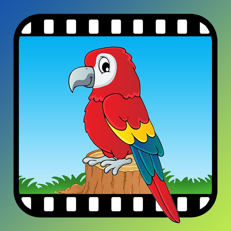 Video Touch - Vögel