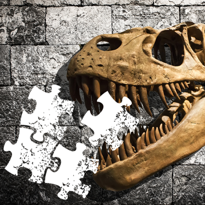 Dino Puzzle - puzzle di dinosauro puzzle
