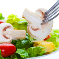 South Beach Recipes Plus