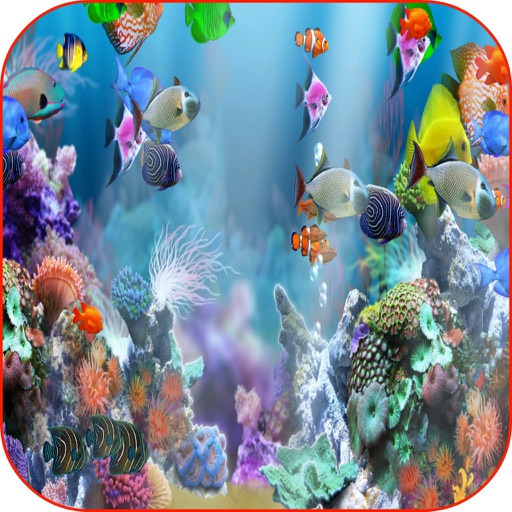 Aquarium Wallpaper Fish Tank Frame icon