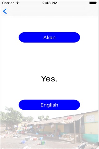 AkanEnglish screenshot 4