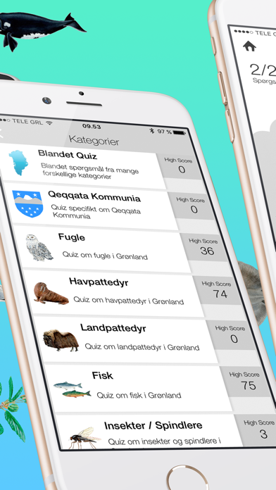 Screenshot #2 pour Greenland Quiz