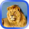 African Animals Puzzle App Feedback