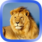 Download African Animals Puzzle app