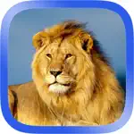 African Animals Puzzle App Support