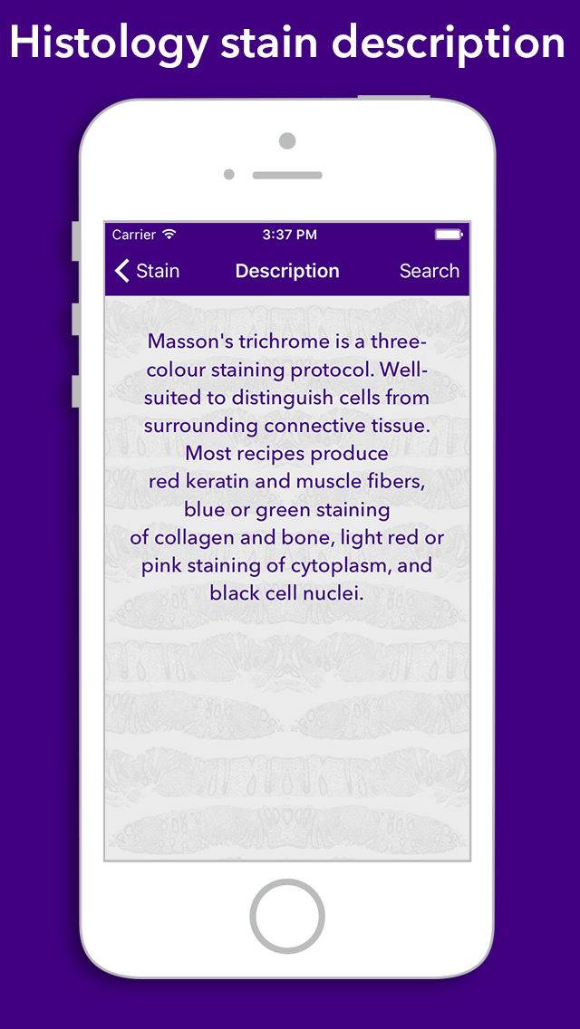 FlashKarte Histology Stains