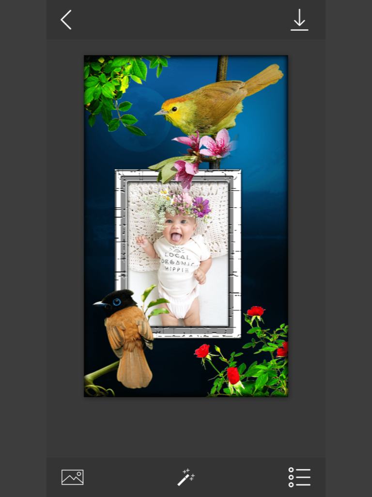 Bird Photo Frames - Make awesome photo using beautiful photo frames screenshot 5