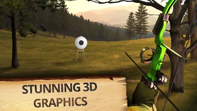 Archery Champion PRO (ADS FREE) 3D Bow Tournament Master, Sport Shooting Game Screenshot