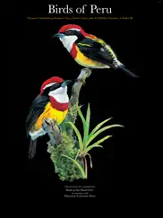 birds of peru ipad images 1
