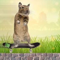 Degu Dash pour PC