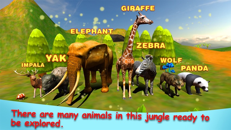 Jungle Animals in the Zoo : Let Your kid learn about Zebra, Lion, Dog, Cats & other Wild Animals