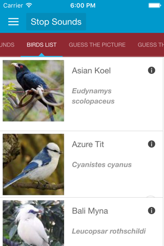 Asian Birds Sounds screenshot 2