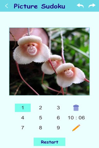 Pictures Sudoku screenshot 4