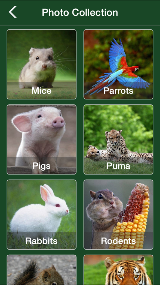 #2. Animal Jigsaw Puzzle - Ultimate swap tile game edition (iOS) 由: Le Nhung