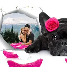 Best Photo Frame - Art Photography & mega Frames app icon