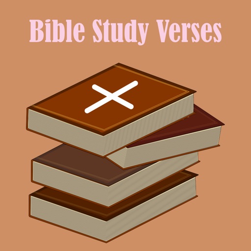 Bible Study Verses icon