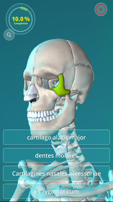 Anatomy Quiz - muscles and bones Screenshot