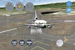 Game screenshot Airplane Denver apk