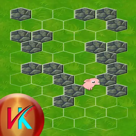 Lock The Pig By Arranging The Stones Cheats
