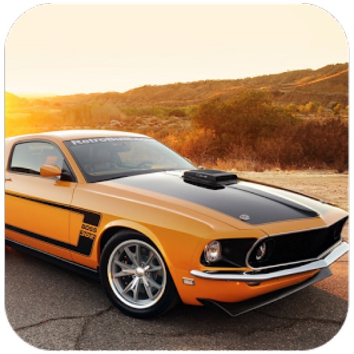 Real Car Simulator Pro icon