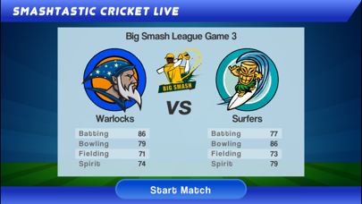 Smashtastic Cricket Screenshot