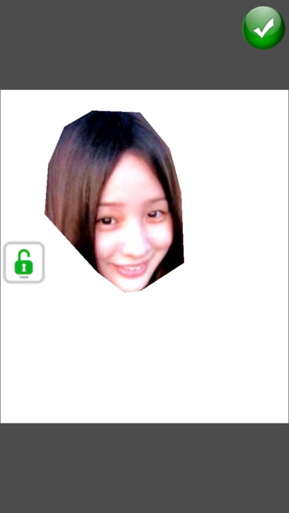 Best Cut Image by Shape