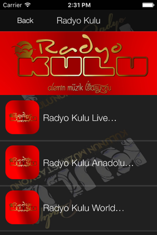 Radyo Kulu screenshot 4