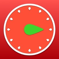 Pro Timer - Time Manager & Goal Tracker sur PC