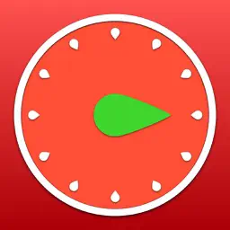 Pro Timer - Time Manager & Goal Tracker app icon