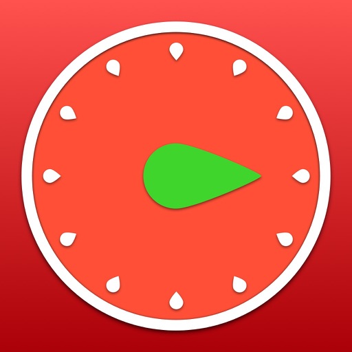 Pro Timer - Time Manager & Goal Tracker icon