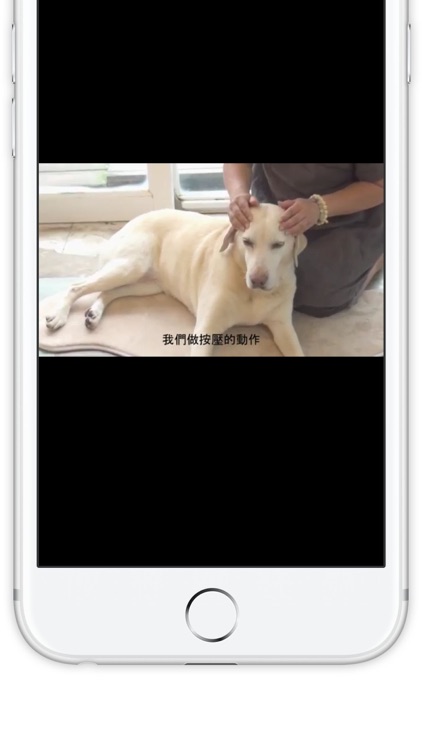 SwiCity – Dog Care Video Channel screenshot-3
