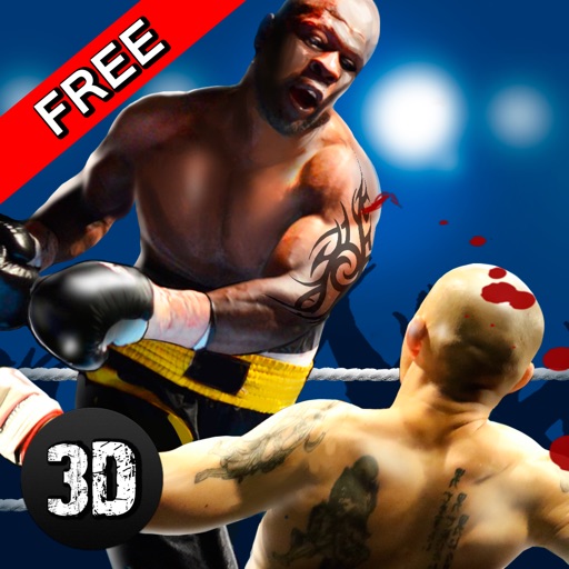 Real Punch Box Fighting 3D icon