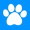 DogCare is a video app for dog care tips, presenting videos by illness symptoms and treatments