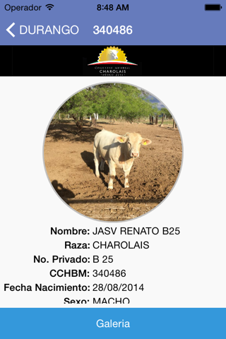 Exposiciones Charolais screenshot 2