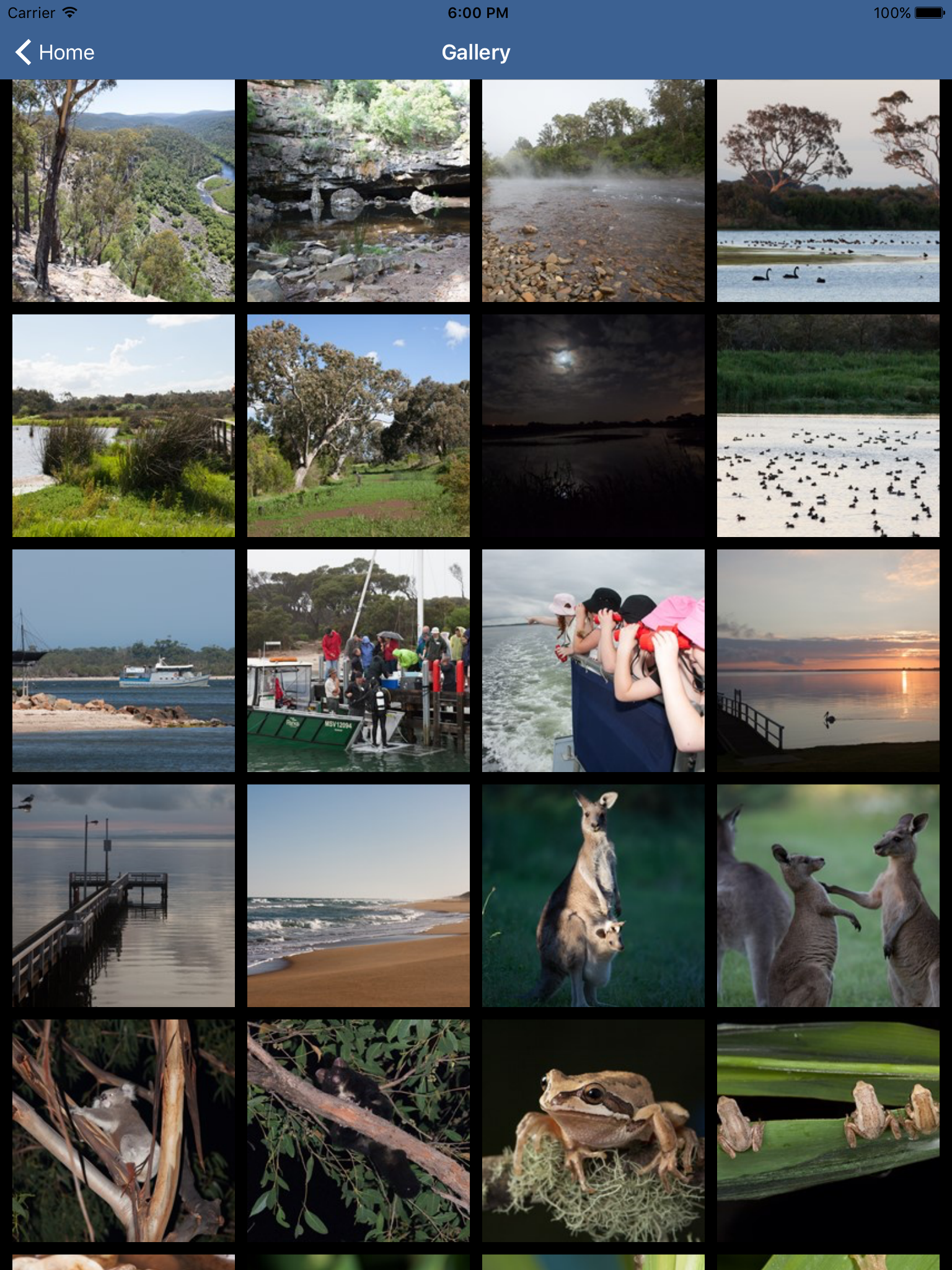 Wildlife Field Guide to Gippsland Lakes