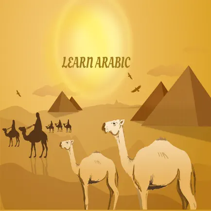 Learn Arabic Flashcard Cheats