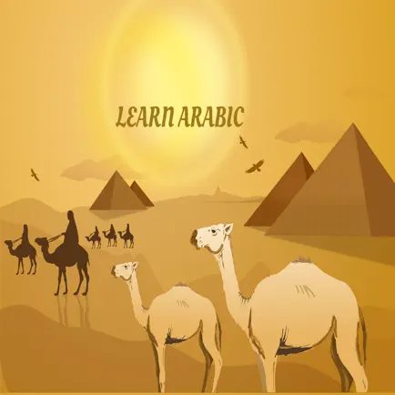 Learn Arabic Flashcard Читы