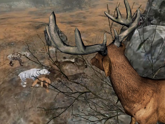 Life Of Deer iPad screenshot 3 - Games app
