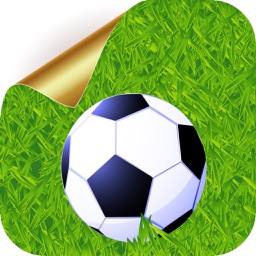 Euro 2016 Soccer puzzle