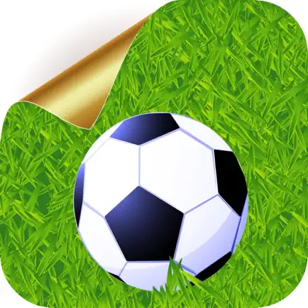 Euro 2016 Soccer Puzzle Читы