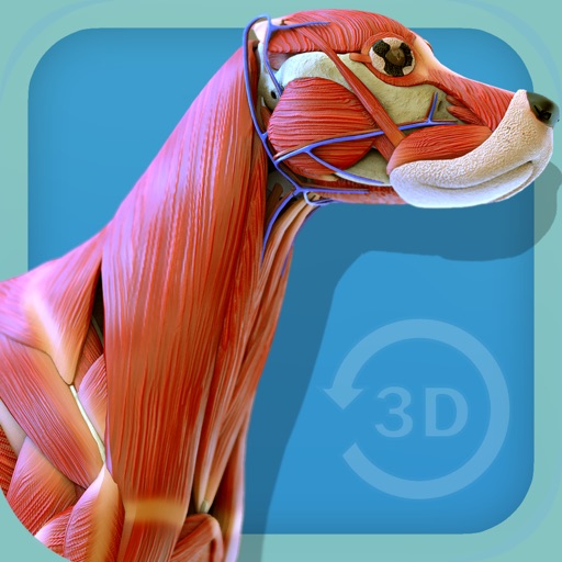 Visual Anatomy - Canine icon