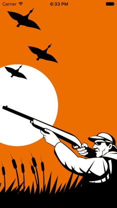 Birds Mimic screenshot 1