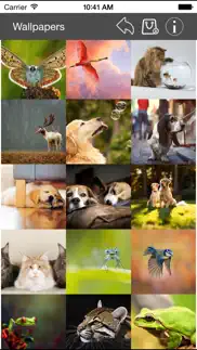 How to cancel & delete wallpaper collection animals edition 4