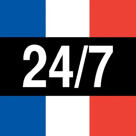 French Vocabulary 24/7 Language Learning Cheats