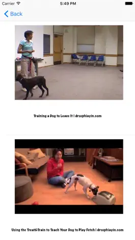 Game screenshot Dog Training (Free) apk