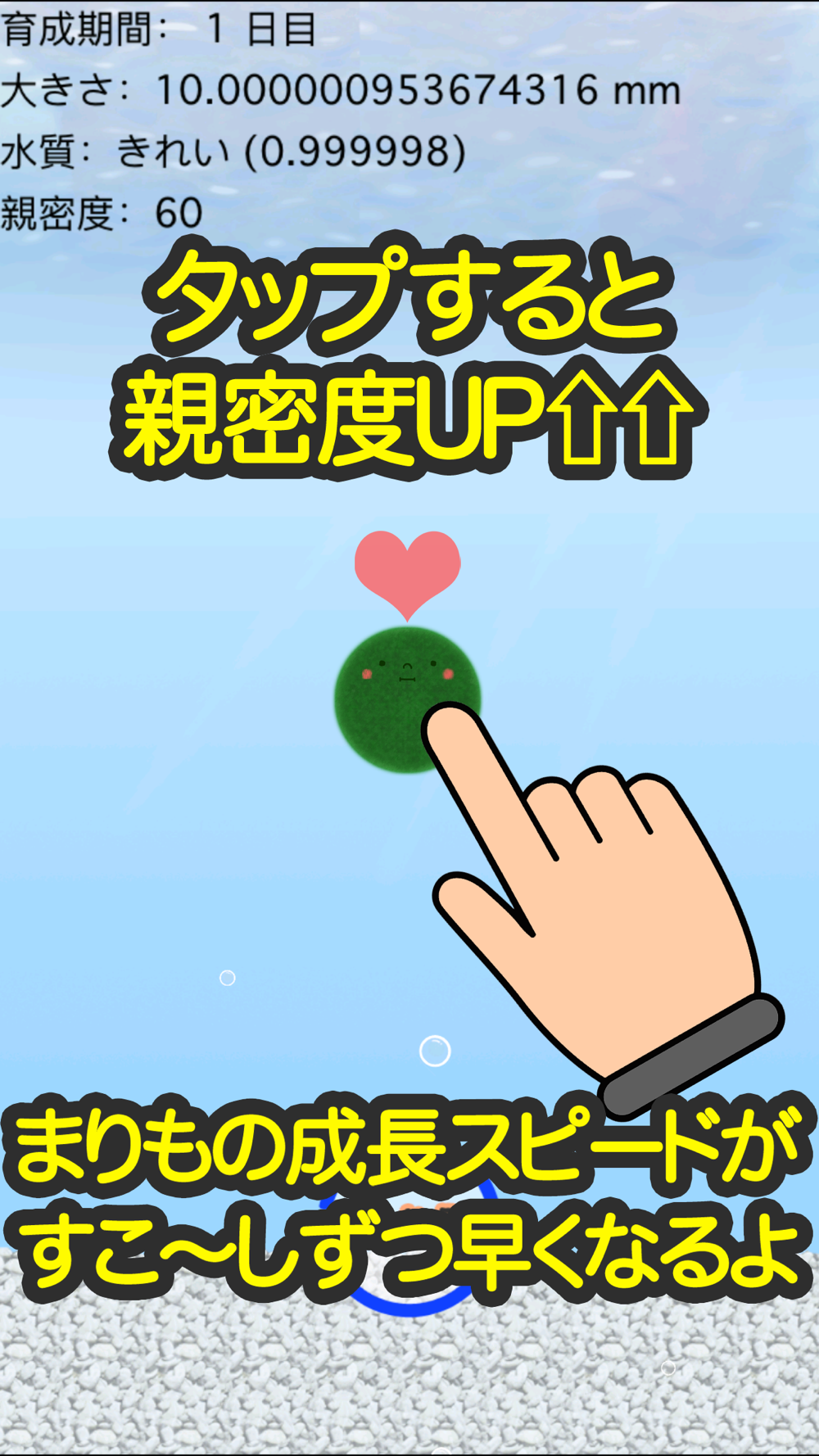 どこでもまりも育成 Free Download App For Iphone Steprimo Com