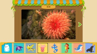 宝宝认海洋动物-2~6岁幼儿认识动物益智早教小游戏(探索动物世界的在线自然博物馆软件)のおすすめ画像1
