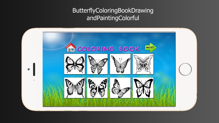 Butterfly Coloring Book Drawing and Painting Colorful