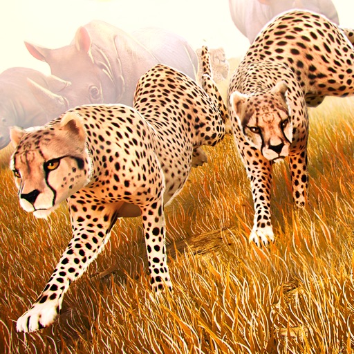 Wild Animal Simulator . Free Jungle Animals Racing Game 3D