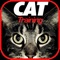 How to train your cat